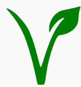 Joepie Veggie – Aankondiging vegetarische kookworkshops!